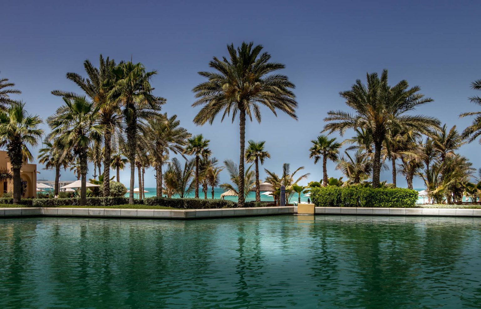 Key West pool and palm trees