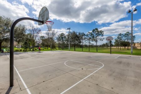 Basketball court and hoop